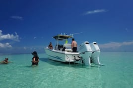 Sandbar Trip - 32'