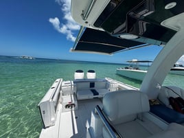 Sandbar Charter - Belzona 325CC