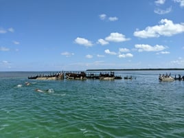 Private Sandbar & Snorkel Trip