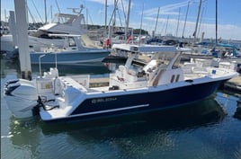 Sunset Cruise - Still Dream