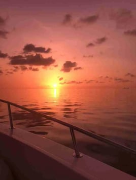 Sunset Cruise - Still Dream