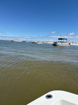 Custom Tours And Cruises!!