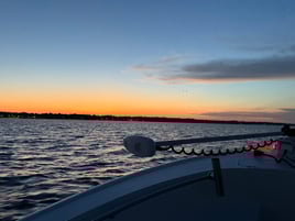 Custom Tours And Cruises!!