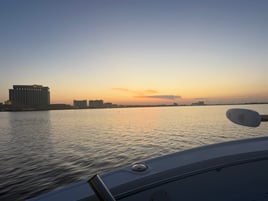 Custom Tours And Cruises!!