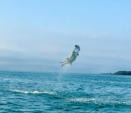 4-8 Hour Inshore Fishing Trip