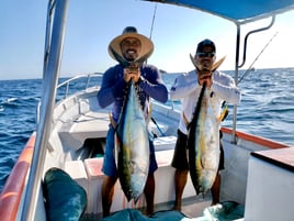 Full Day Trip (Open Sea)