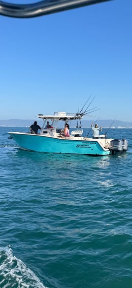 31 Ft Grady White Deep Sea Fishing 