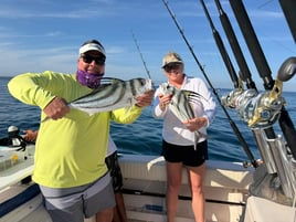 31 Ft Grady White Half Day 