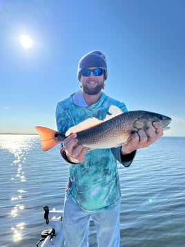 Half Day Trip – Inshore