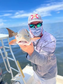 Half Day Trip – Inshore