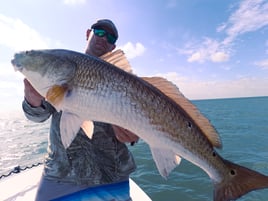 Venice Inshore Fishing Charter 