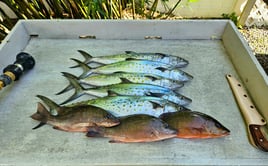 4-8 Hour Fishing Trip