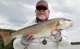 4-8 Hour Fishing Trip