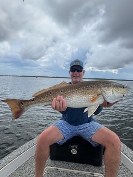 4 Hour Morning Bay Fishing Trip