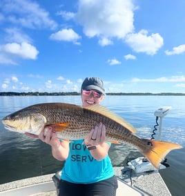 4 Hour Morning Bay Fishing Trip