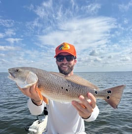 4 Hour Morning Bay Fishing Trip