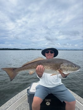 4 Hour Morning Bay Fishing Trip