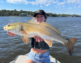 4 Hour Morning Bay Fishing Trip