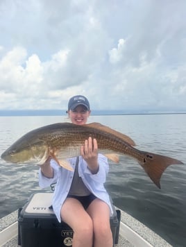 3 Hour Afternoon Bay Fishing Trip