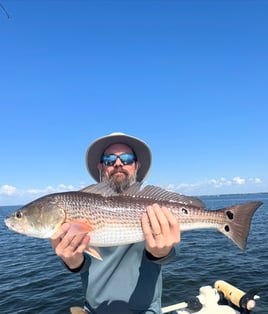 3 Hour Afternoon Bay Fishing Trip