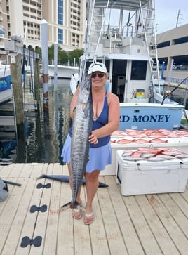 Wahoo Trolling