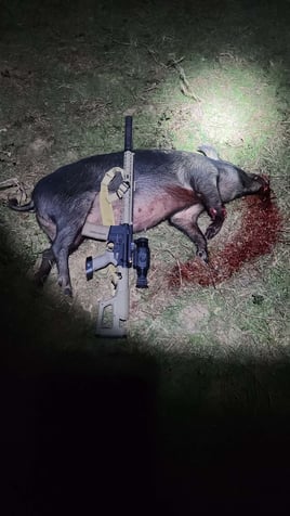 South Texas Thermal Hog Hunt