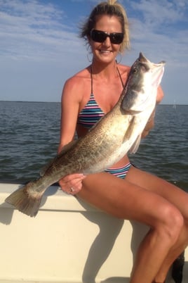 Inshore Fishing Trip
