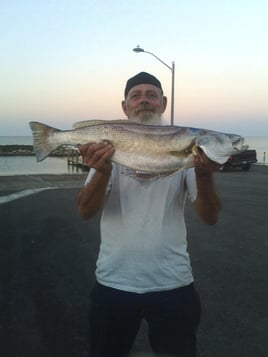 Inshore Fishing Trip