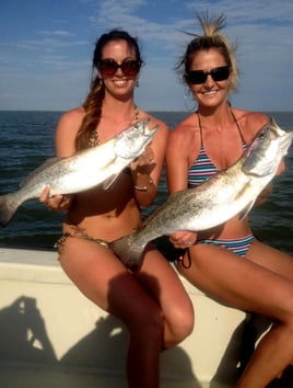 Inshore Fishing Trip