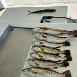 Hook, Line & Memories Fishing Trip