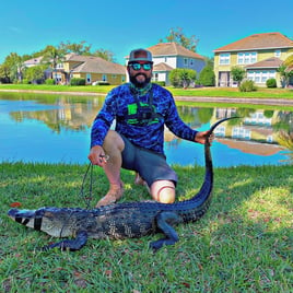 Live Capture Alligator Hunt