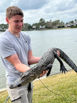 Live Capture Alligator Hunt