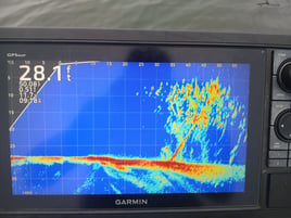 Livescope Crappie Fishing