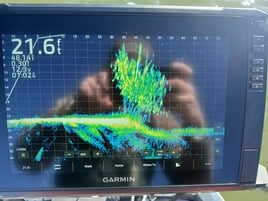 Livescope Crappie Fishing