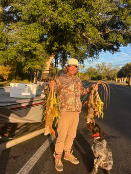 Cape Coral Iguana Hunt