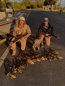 Cape Coral Iguana Hunt