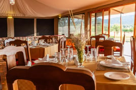Serengeti Birding Experience