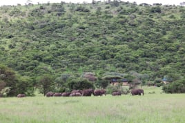 Serengeti Birding Experience