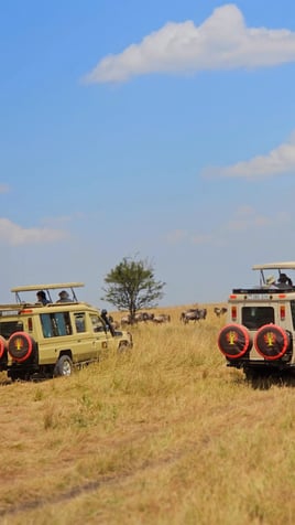 Serengeti Birding Experience