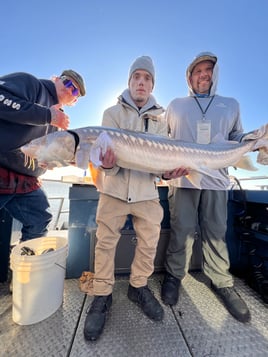 Delta Sturgeon 