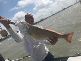 Inshore Fishing Trip
