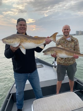 Inshore Fishing Trip