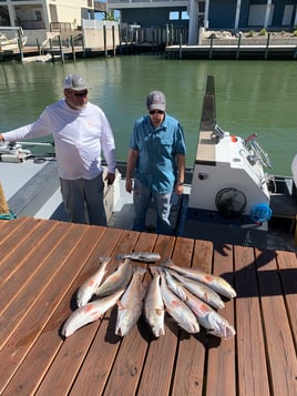 Inshore Fishing Trip