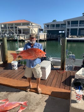 State Water Snapper Trips
