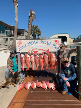 State Water Snapper Trips