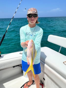 Reef Fishing