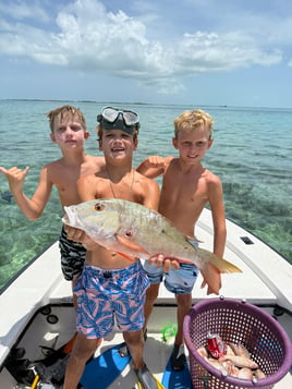Reef Fishing