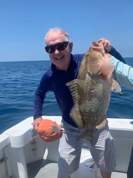 8 Hour Trip – Predator Pursuit