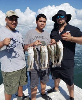 Inshore Fishing Trip
