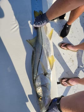 Inshore Fishing Trip